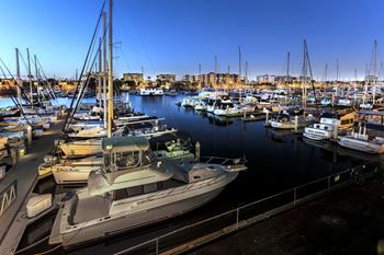 Spectacular marina views